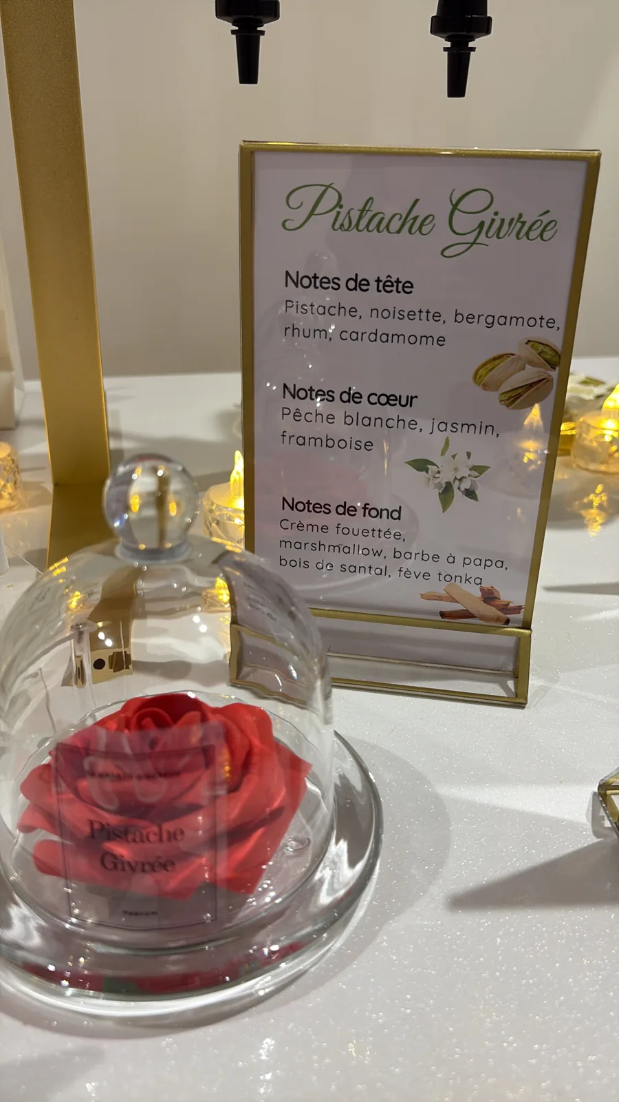 La carte de la fragrance Pistache Givrée et sa pyramide olfactive, à côté d'une rose rouge sous cloche